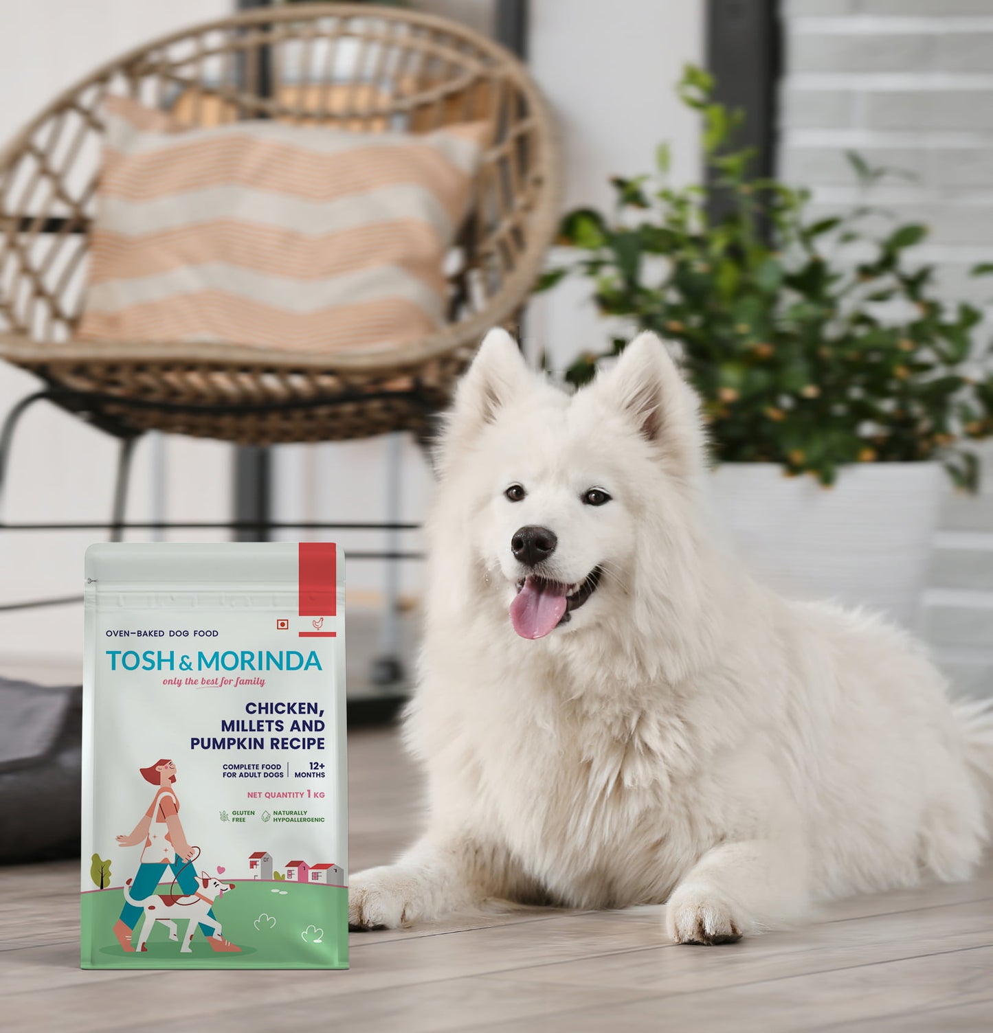 A handsome white dog sitting beside a pack of Tosh & Morinda's Chicken, Millets, and Pumpkin baked dog food recipe.