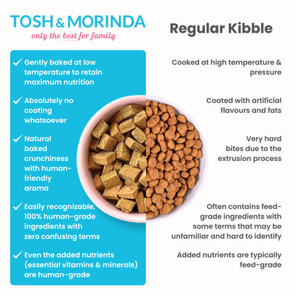 Comparison slide highlighting the differences between Tosh & Morinda's gently baked dog food and traditionally extruded kibble.