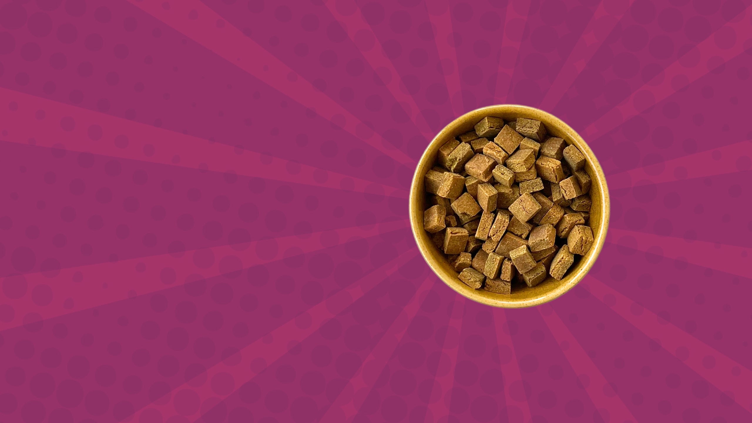 A bowl filled with Tosh & Morinda's baked dog food against a cheery background, reflecting our commitment to using only the premium human-grade ingredients.