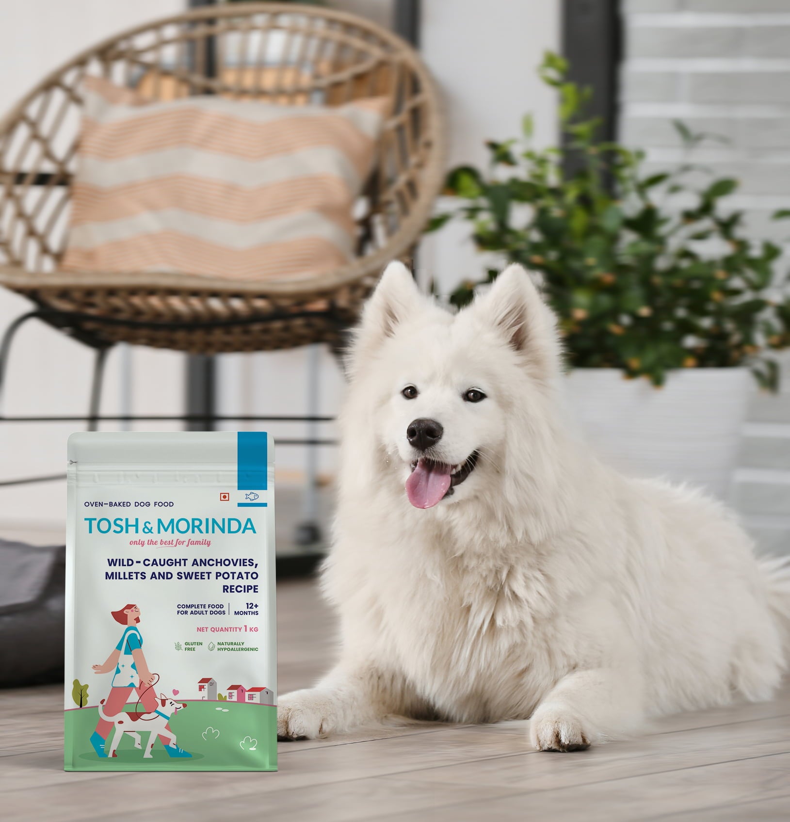 A handsome white dog sitting beside a pack of Tosh & Morinda's Wild-Caught Anchovies, Millets, and Sweet Potato baked dog food recipe.