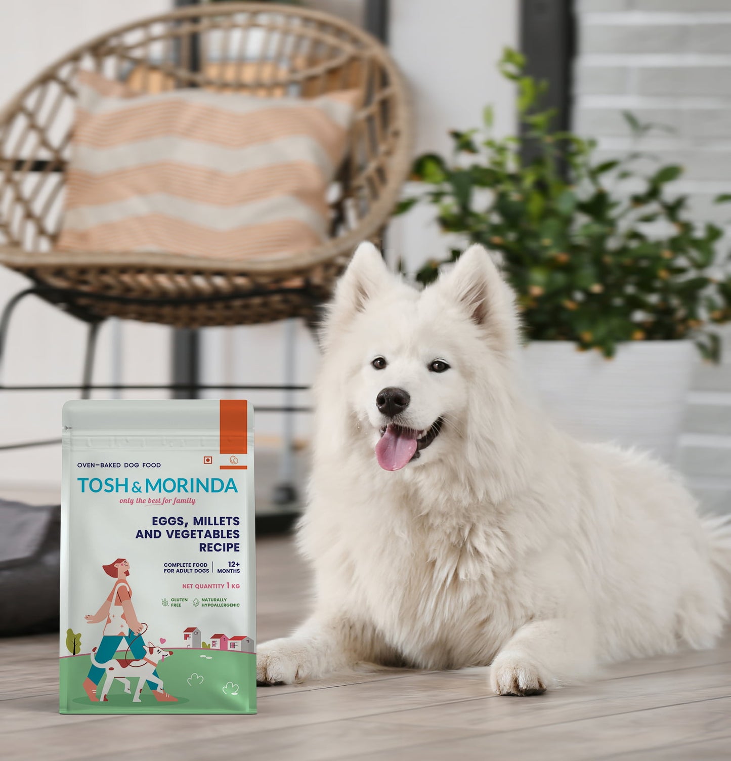 A handsome white dog sitting beside a pack of Tosh & Morinda's Eggs, Millets, and Vegetables baked dog food recipe.